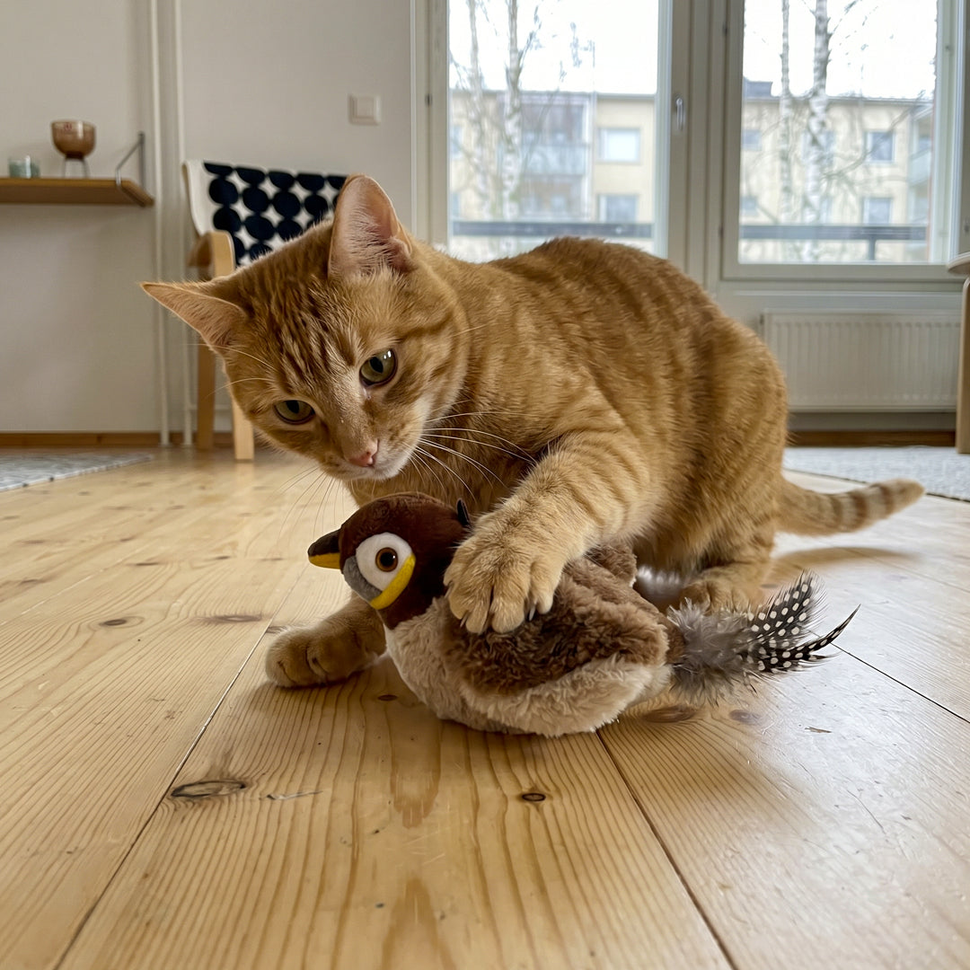 PRACTS Flügelvogel